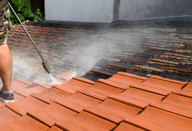 Best Roof Power Washing Services  in Durand, MI